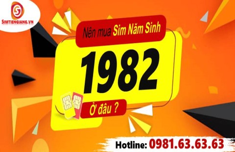 Hướng dẫn mua Sim Năm Sinh 1982 tại Simtiengiang.vn.