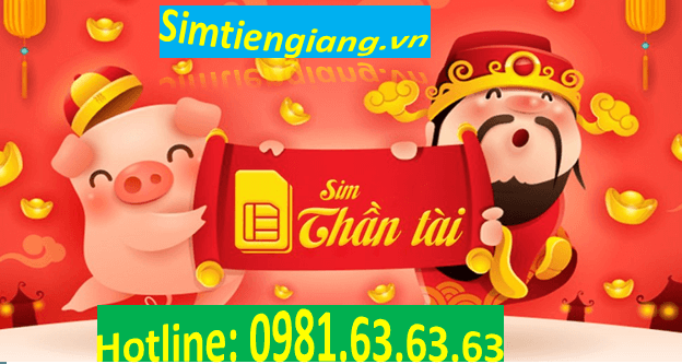 ua sim số đẹp sim Thần Tài hanh thông Tài Lộc tại Sim Tiền Giang.