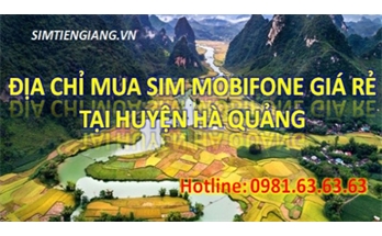 Địa Chỉ Đáng Tin Cậy Để Mua Sim Mobifone Giá Rẻ Tại Huyện Hà Quảng