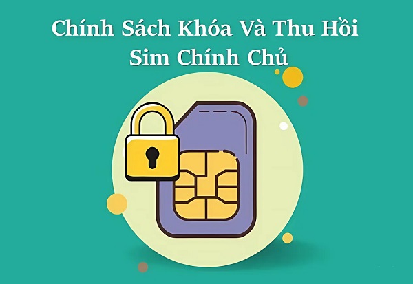 Chính Sách Thu Hồi Sim Số Đẹp Từng Nhà Mạng