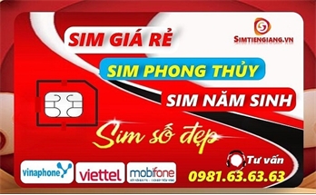 Liên Hệ Mua Sim Số Đẹp Giá Rẻ Tại Tiền Giang