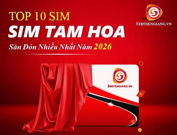 Top 10 Sim Tam Hoa Được Ưa Chuộng Năm 2026
