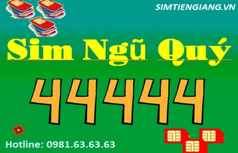 Sim tứ quý 4 – khơi gợi trí tò mò của người dùng