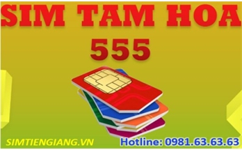 Sim Tam Hoa 555 - Con Số Tam Phúc Mang Lại Tiền Tài Phúc Lộc Trọn Đời