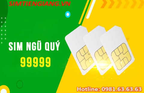 Sim ngũ quý 9 có ý nghĩa gì ?