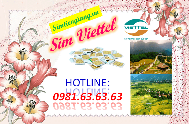 Sim Viettel sim số đẹp giá rẻ tại Bắc Giang trên Simtiengiang.vn. Xem ngay.